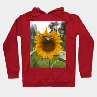 Sunflower with Butterfly Hoodie